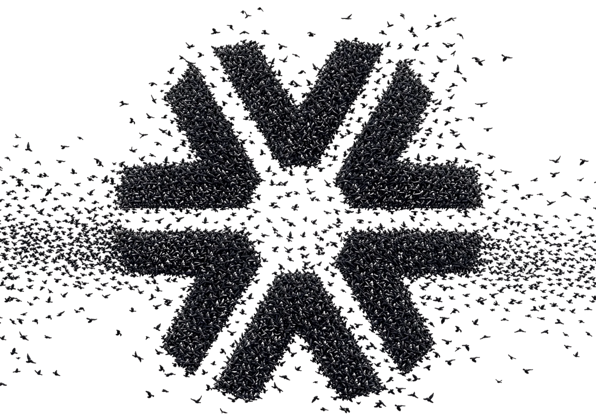 The AMIN Worldwide symbol, six arrows formed by a flock of birds