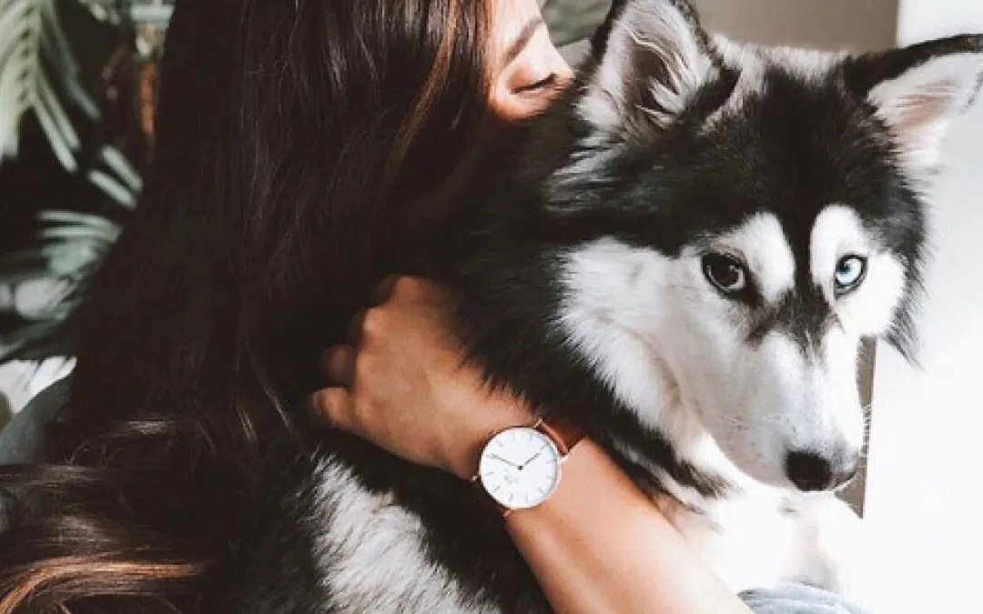 A woman holds a husky dog close to her face.