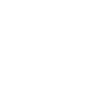 Vision Australia