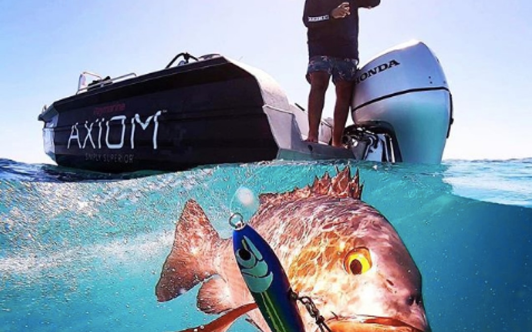 DPR&Co welcome Honda Marine